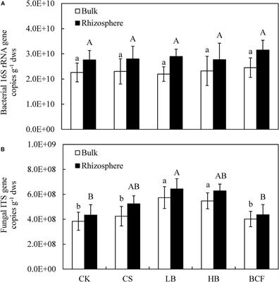 Different Responses of Soil Bacterial and Fungal Communities to 3 Years of Biochar Amendment in an Alkaline Soybean Soil